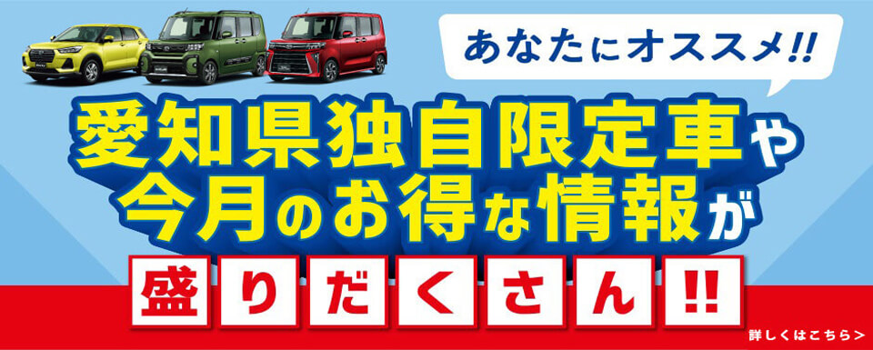 愛知県独自限定車
